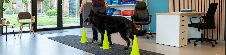 Oefentherapie